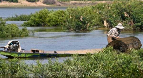 Ασία: Με εξαφάνιση απειλείται το ένα πέμπτο των ψαριών στον ποταμό Μεκόνγκ, σύμφωνα με έκθεση