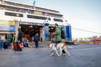 Μαζική η έξοδος των εκδρομέων του Πάσχα: Στο κόκκινο η Αθηνών-Κορίνθου — Στο 100% η πληρότητα των πλοίων