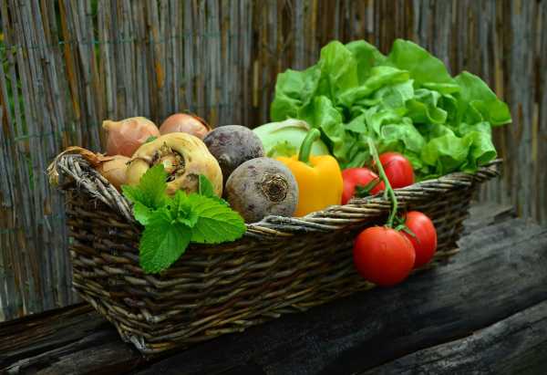 Έρευνα: Η χορτοφαγική διατροφή συνδέεται με 39% χαμηλότερες πιθανότητες εμφάνισης Covid-19