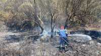 Κέρκυρα: Άσκηση της πυροσβεστικής για την αντιμετώπιση δασικής πυρκαγιάς
