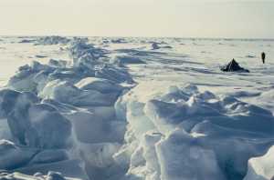Έρευνα: Η Αρκτική μπορεί να μην έχει θαλάσσιους πάγους ήδη από το 2030